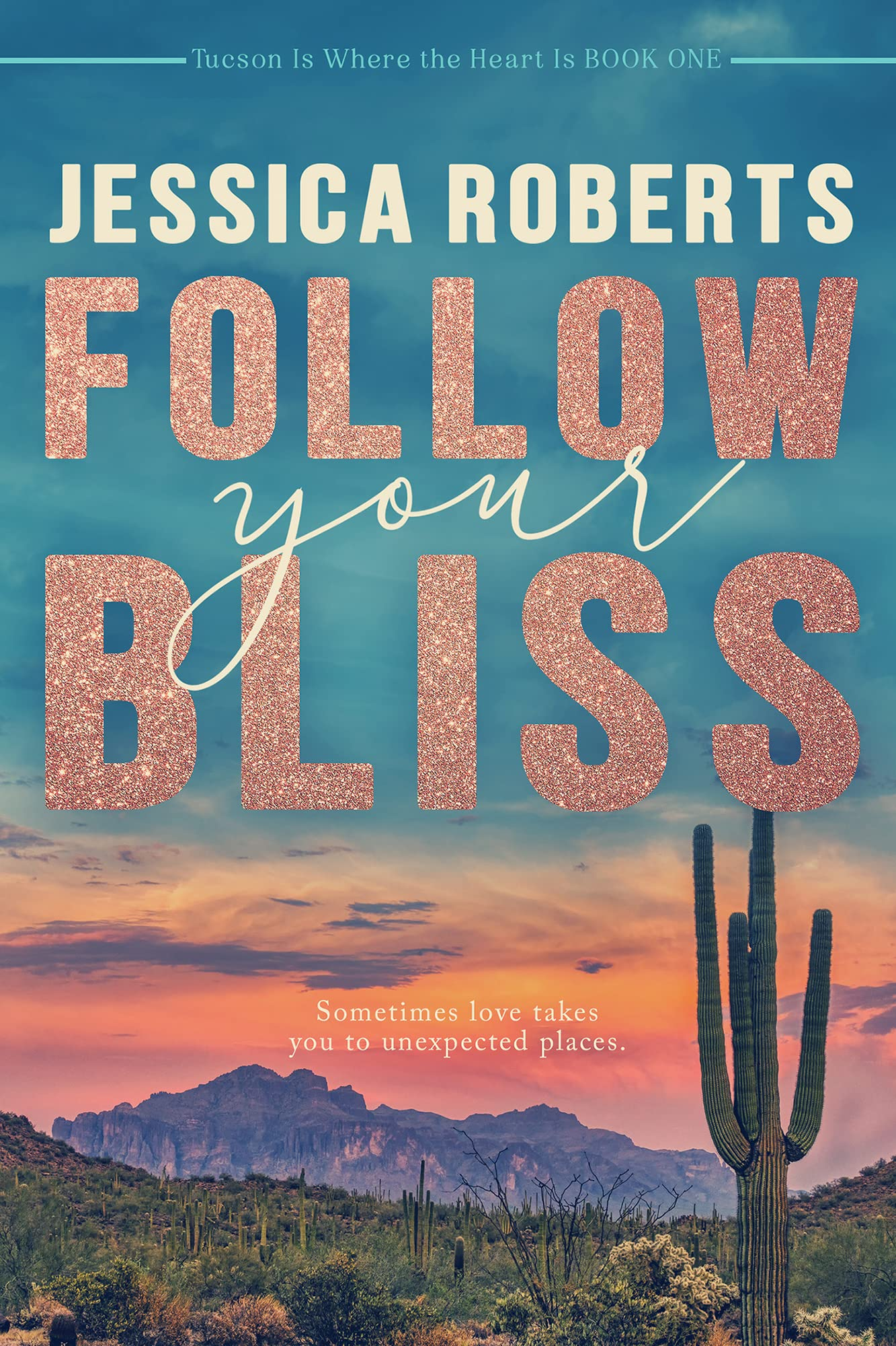 Book Cover for FOLLOW YOUR BLISS by Jessica Roberts